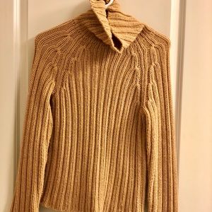 🍁Express turtleneck sweater